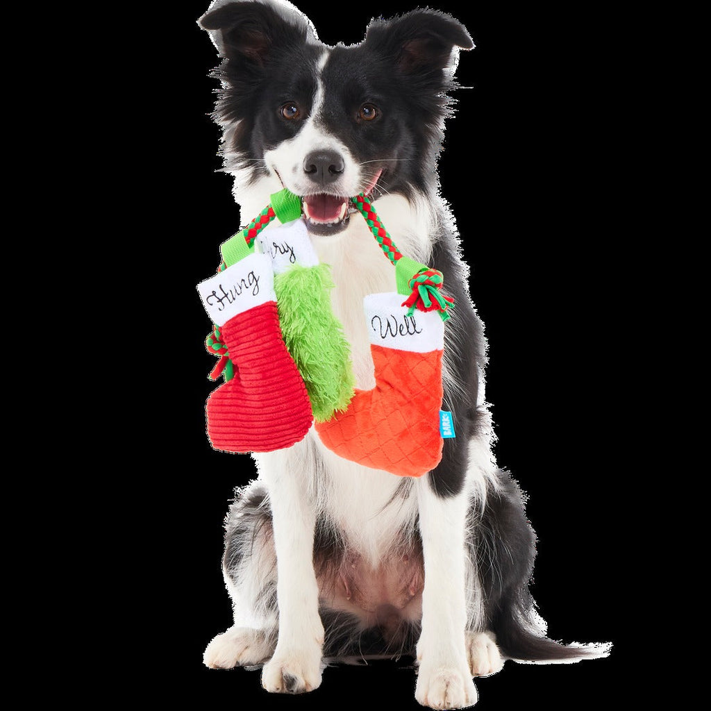 Well Hung Stockings Plush Tug Dog Toy