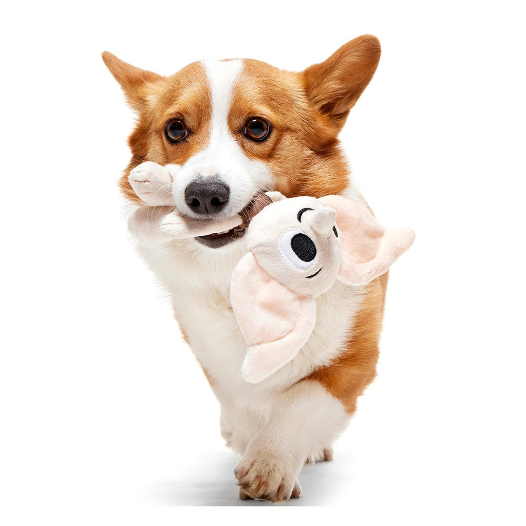 DobbyTM Plush 2-in-1 + Tug Dog Toy