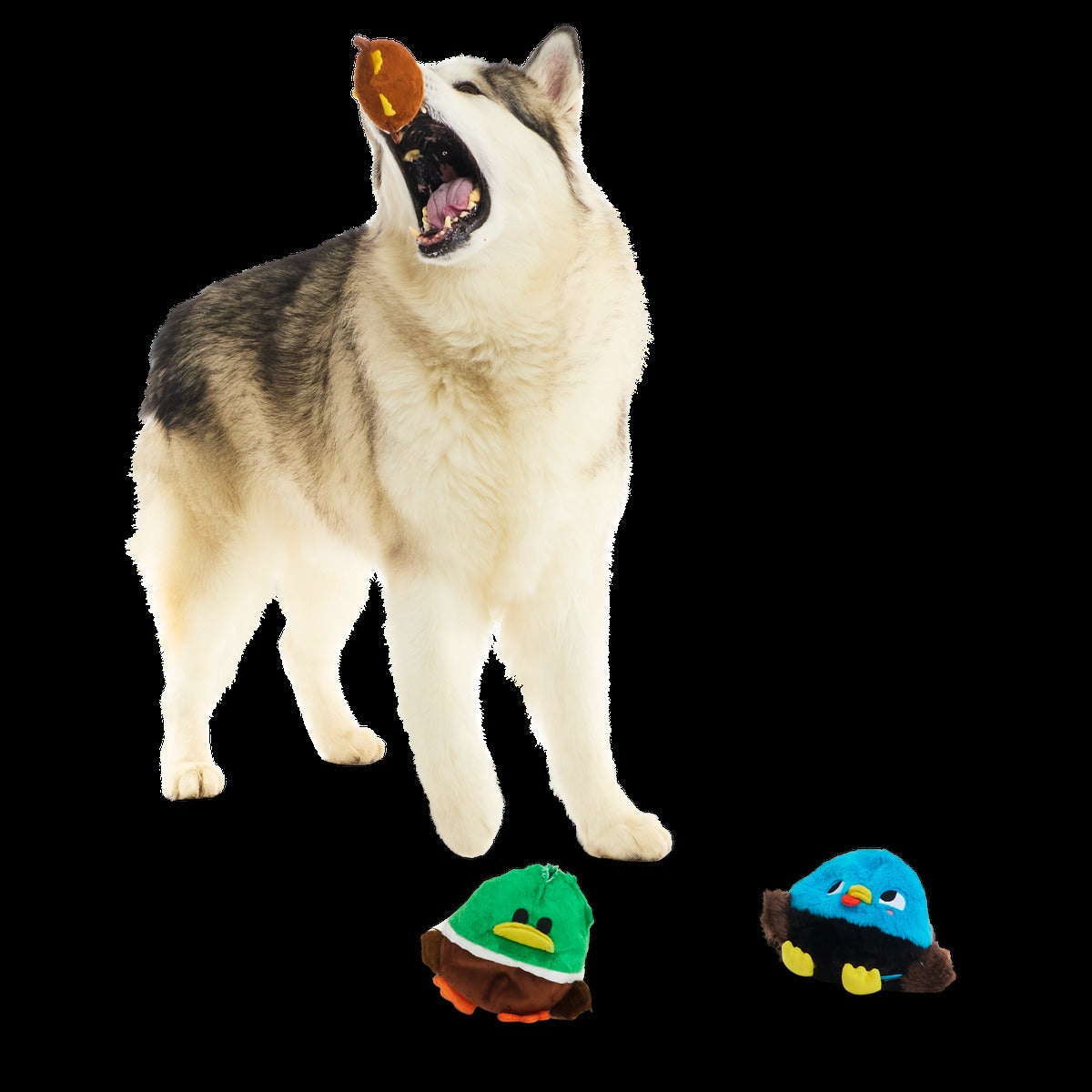 The Pecking Order Plush Multi-Part Dog Toy