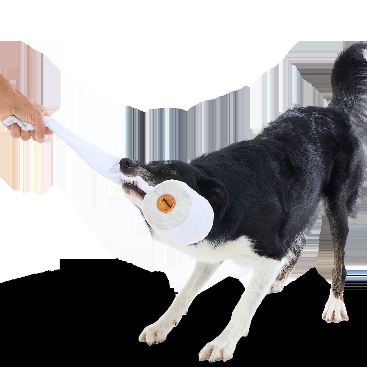 Shred Head Fred Plush Enrichment + Tug Dog Toy