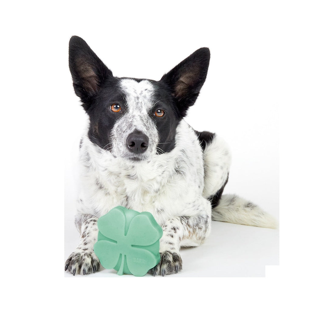 Fur Leaf Clover Super Chewer Durable Gnaw Dog Toy