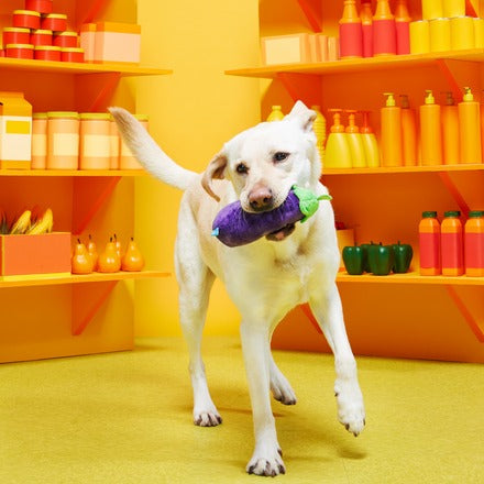 Double Trouble Veggies Multi-Part Dog Toy