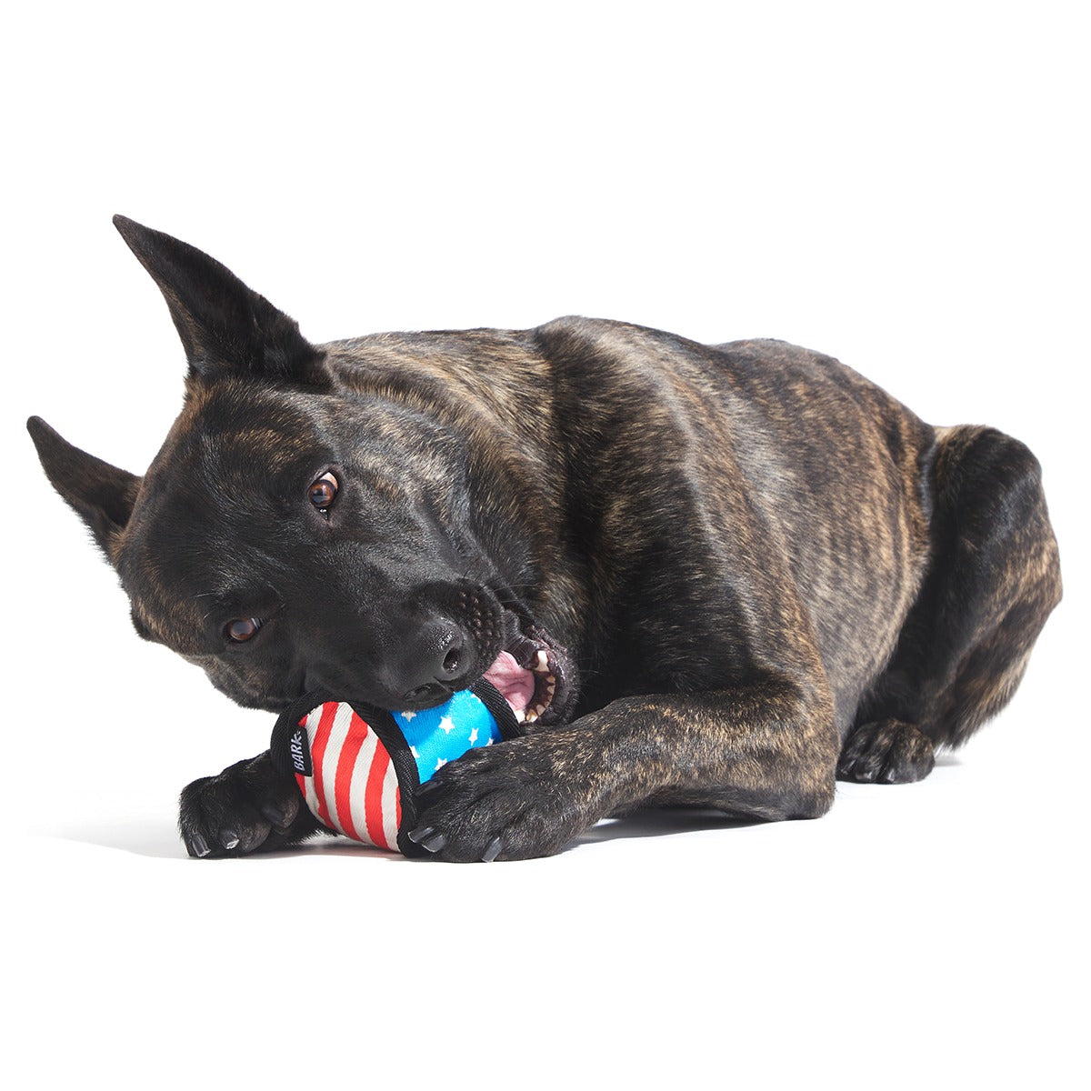 Base Brawl Super Chewer Durable 2-in-1 + Fetch Dog Toy