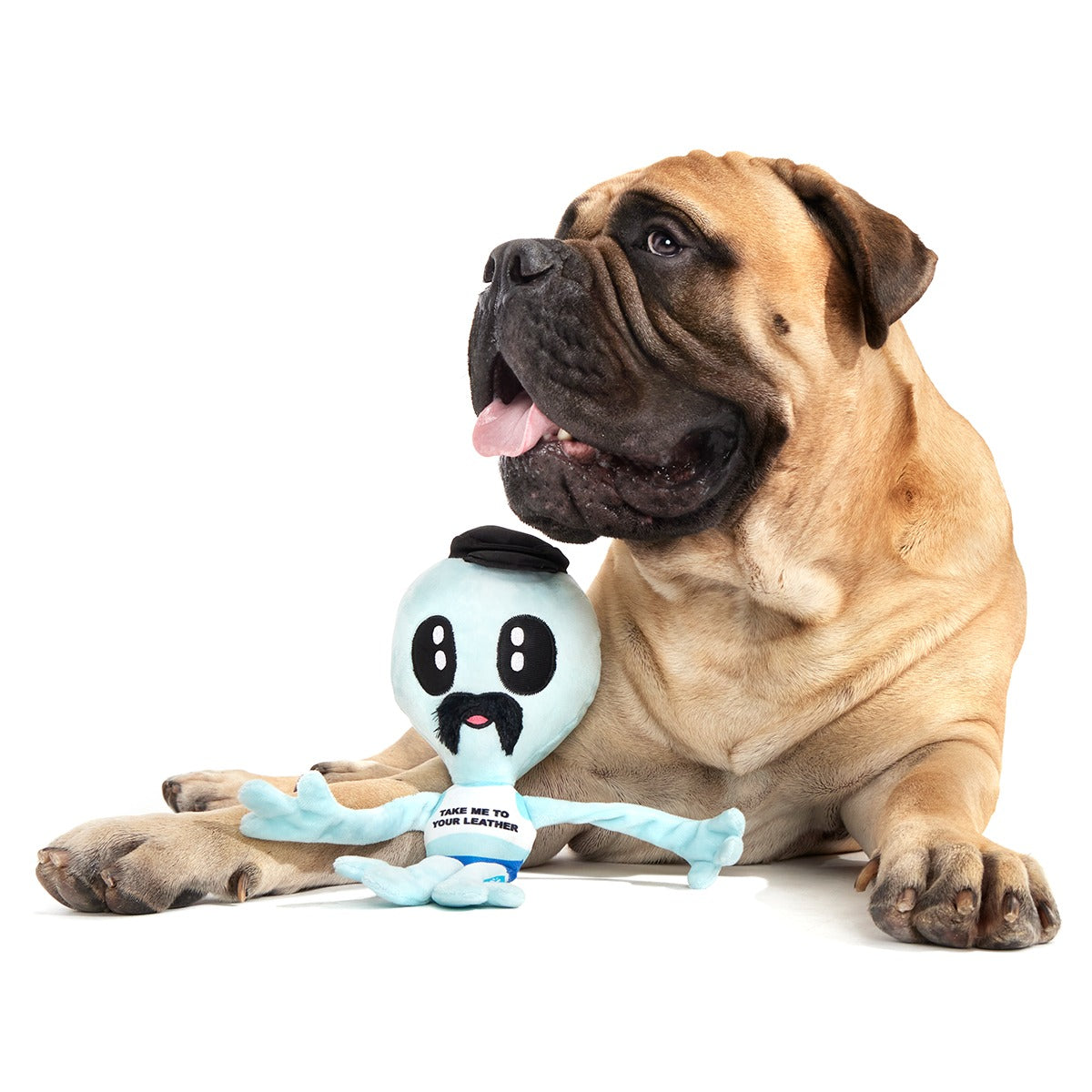 The Gaylien Plush Multi-Part + Tug Dog Toy