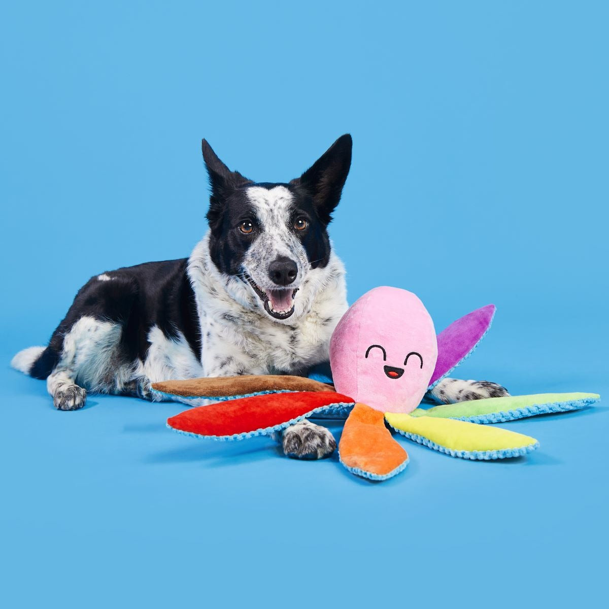 Out Ollie Plush Tug Dog Toy