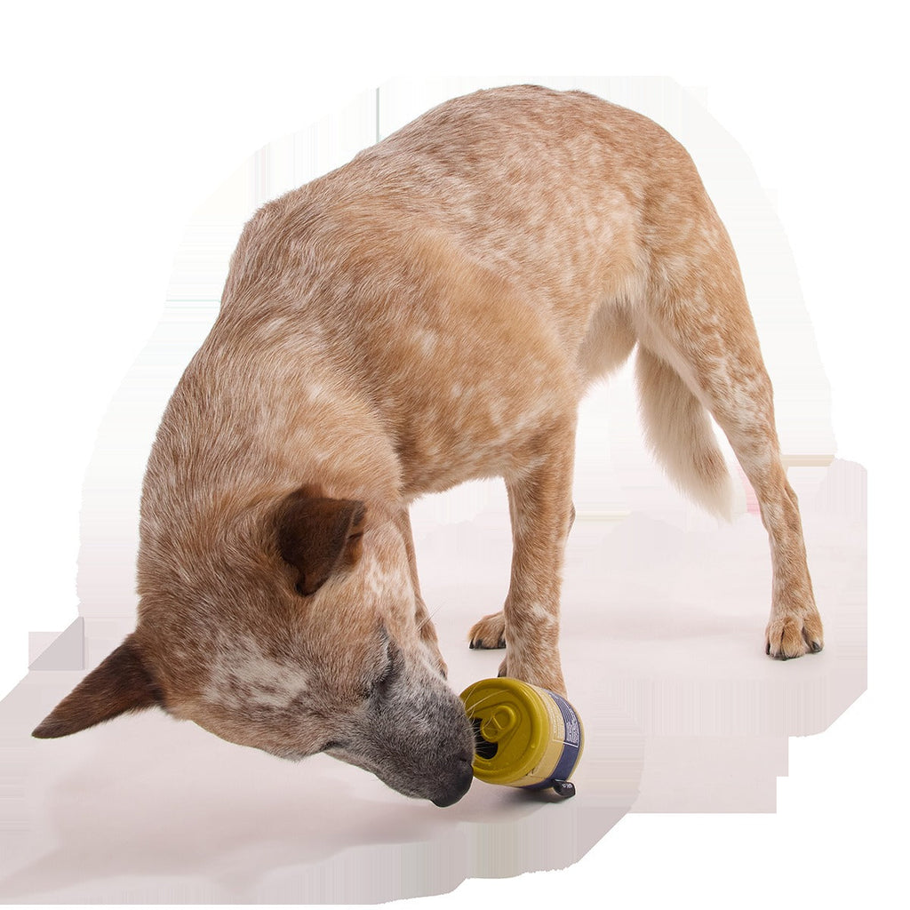 Cold Dead Can Super Chewer Durable Enrichment Dog Toy