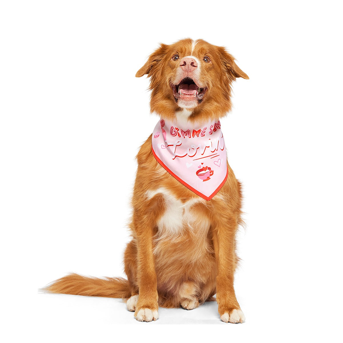Valentine's Day Dog Bandana