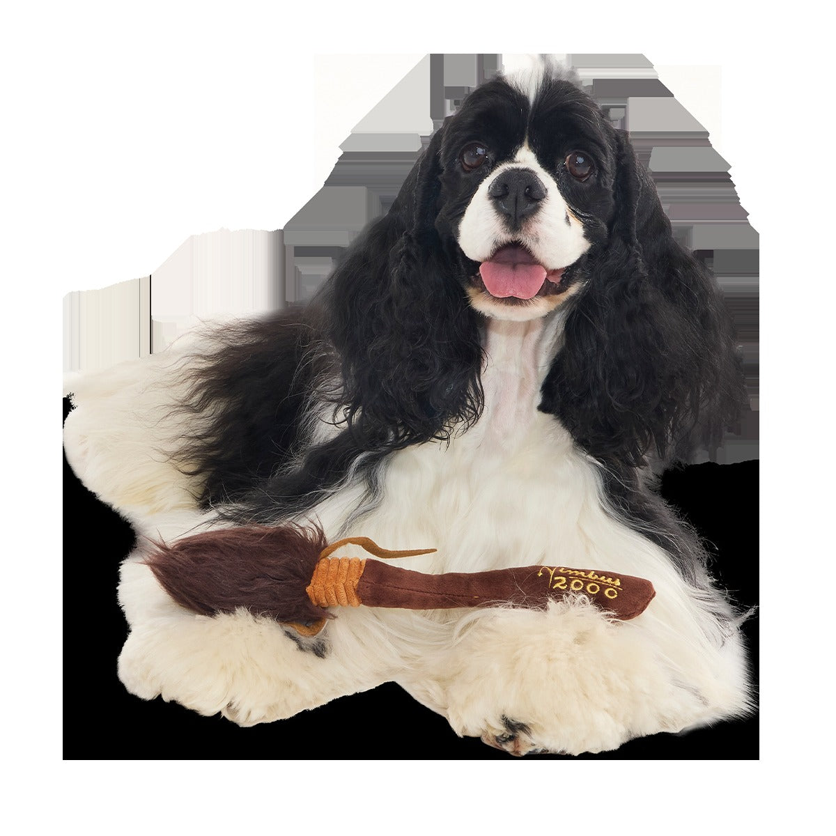 Nimbus 2000TM Broomstick Plush Tug Dog Toy
