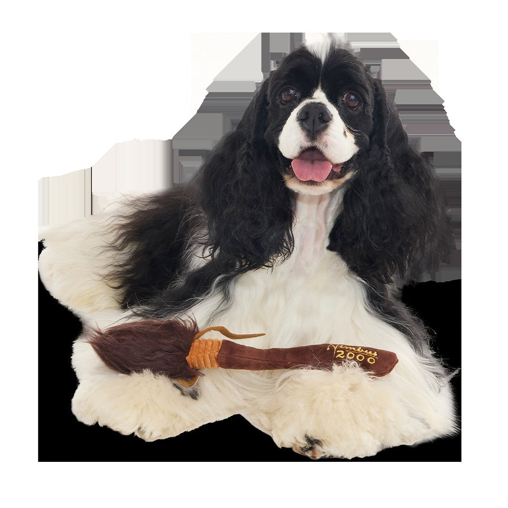 Nimbus 2000TM Broomstick Plush Tug Dog Toy