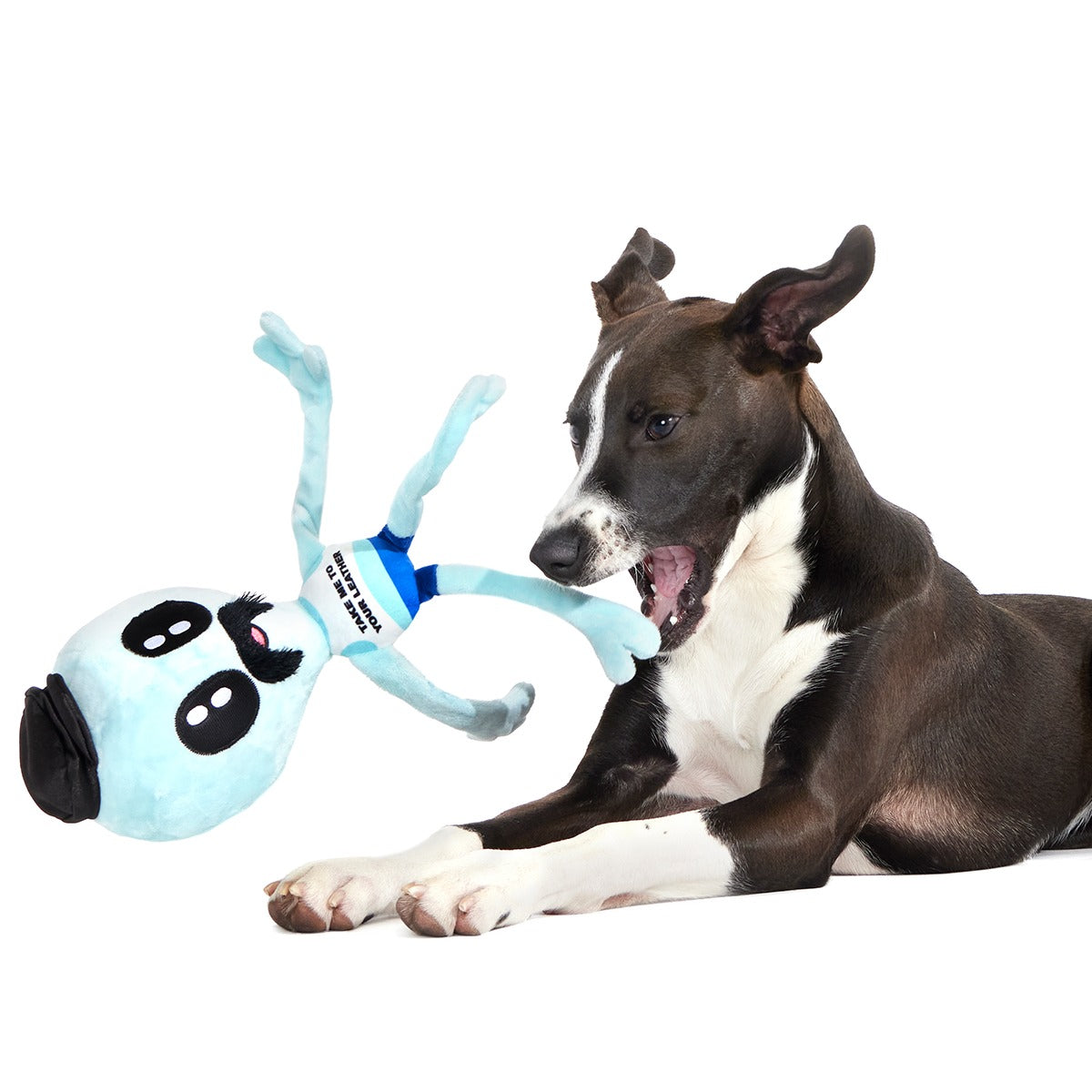 The Gaylien Plush Multi-Part + Tug Dog Toy