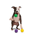 Mardi Growl Beads Durable Super Chewer Dog Toy