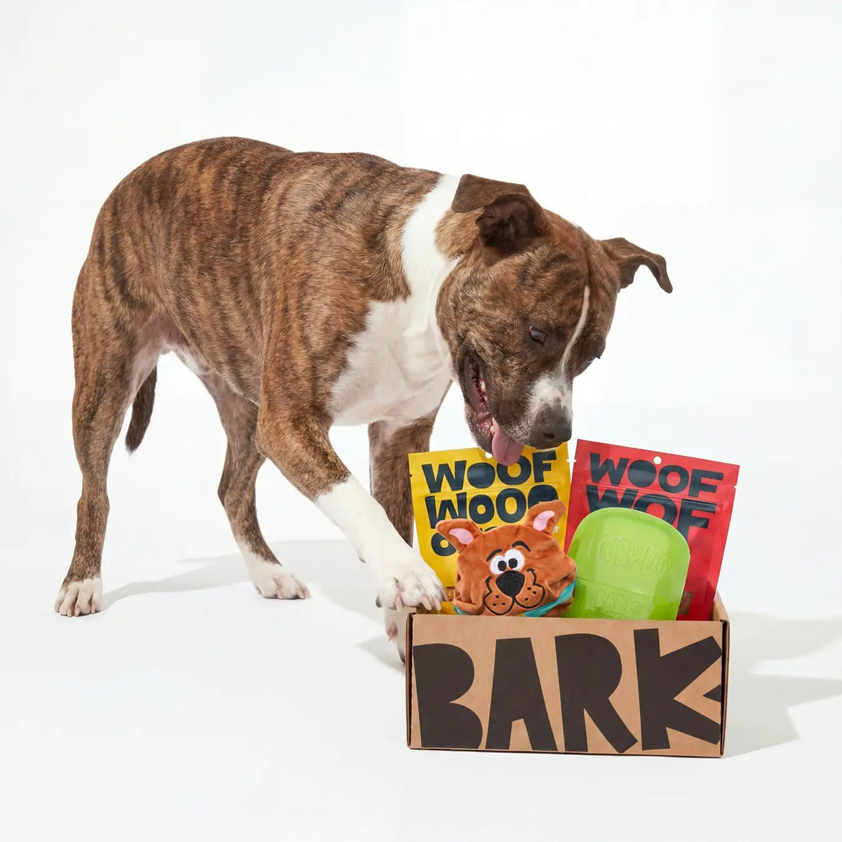 BARK 12 Month Subscription - Scooby-DooTM Double Deluxe First Box