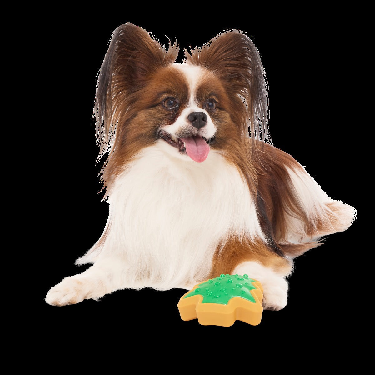 Hard-Baked Sugrrrr Cookie Super Chewer Durable Gnaw + Enrichment Dog Toy