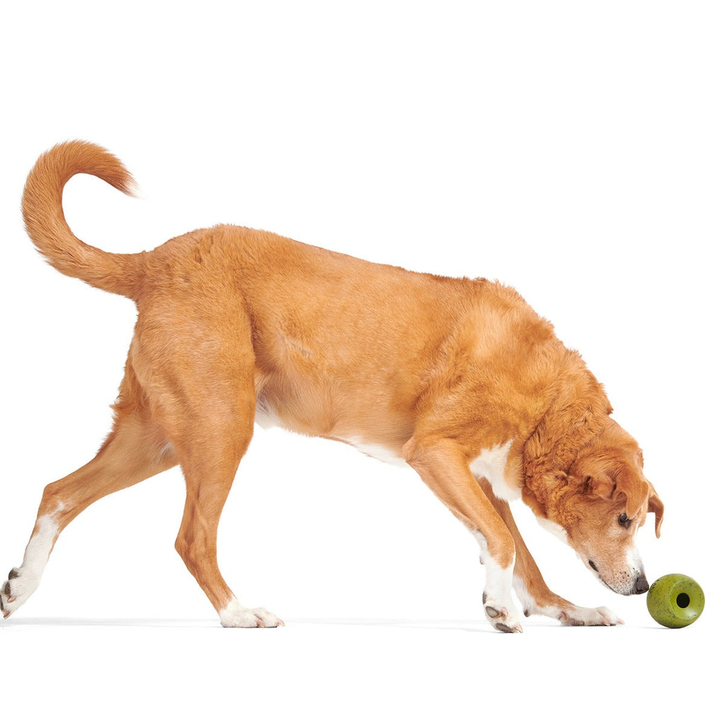 Stuffed Olive Super Chewer Durable Enrichment Dog Toy