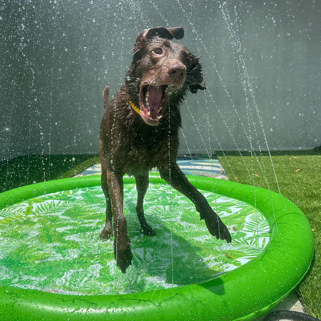 FUNBOY Splash Pad