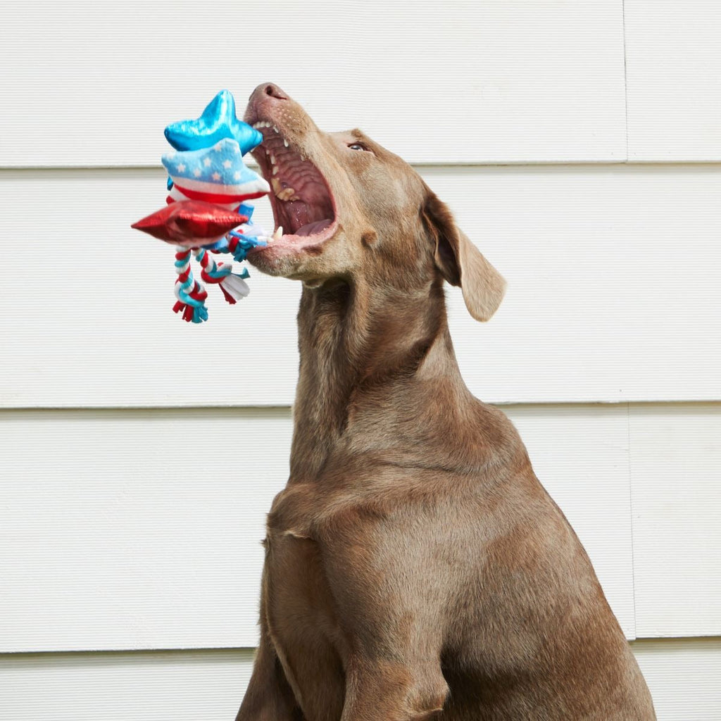Star Spangles Plush Multi-Part + Tug Dog Toy