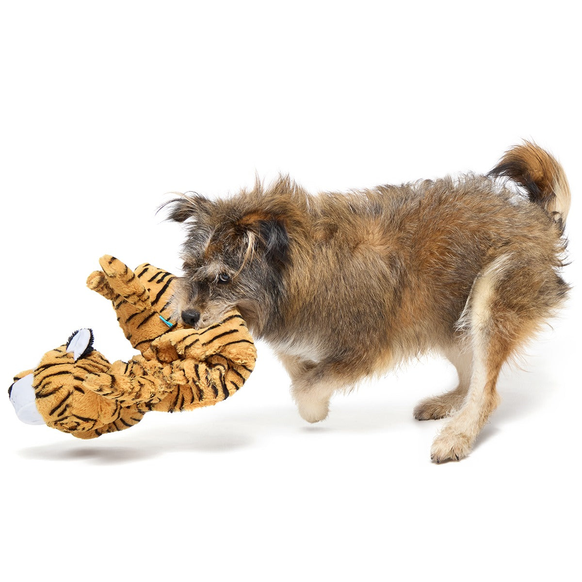 Benji the Bouncing Tiger Plush Extra-Large + Tug Dog Toy