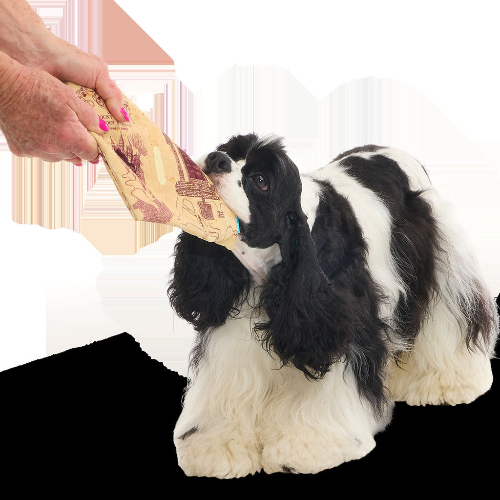 HARRY POTTERTM Plush Multi-Part Dog Toy Bundle