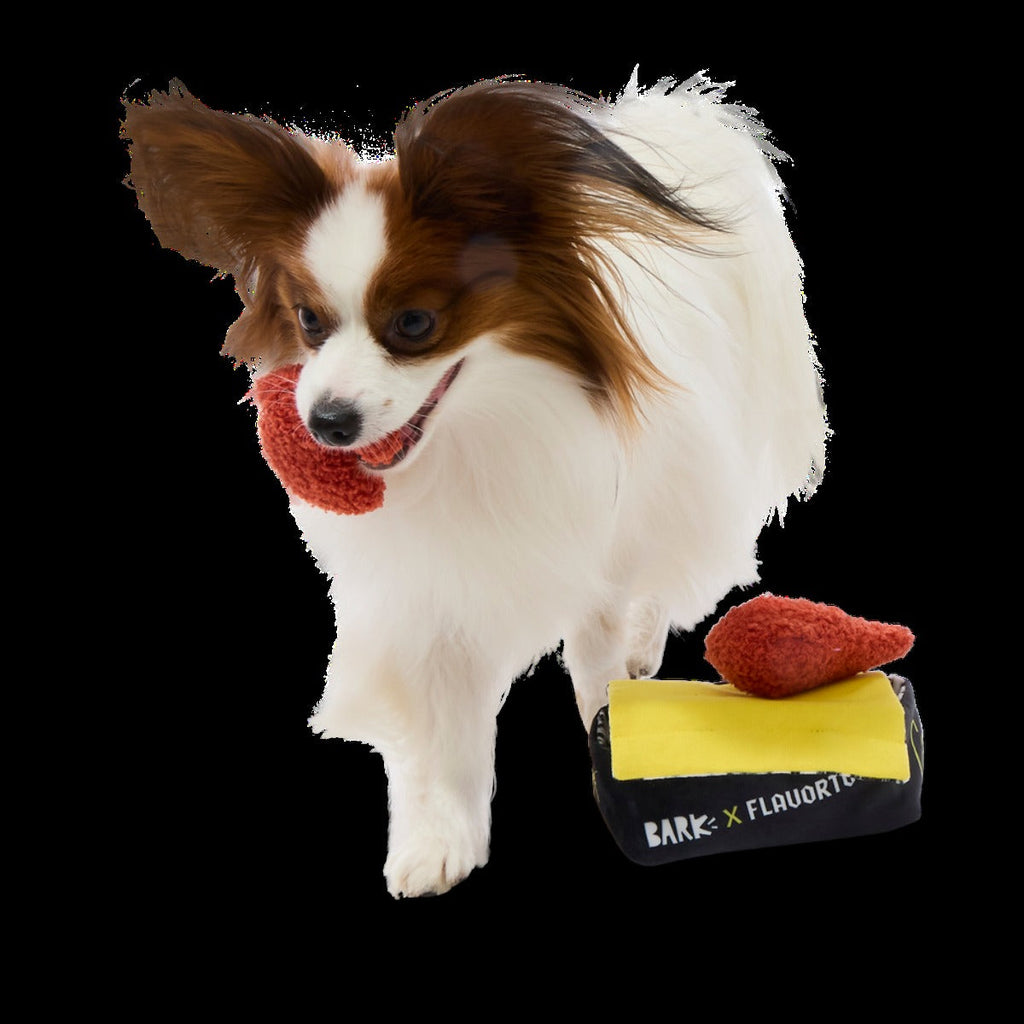 Flavgrrrtown Wings Plush Multi-Part + Enrichment Dog Toy