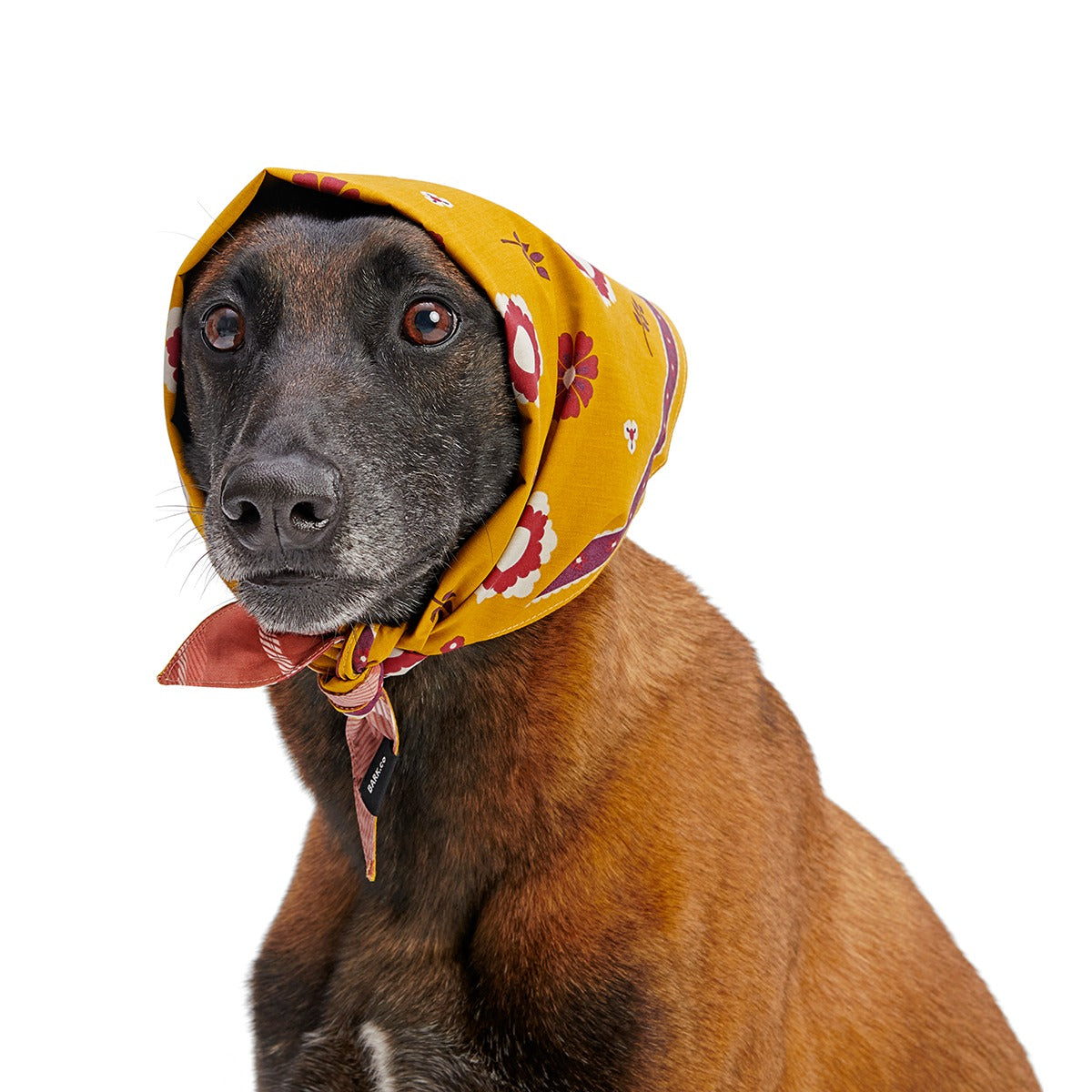 Fall Reversible Dog Bandana
