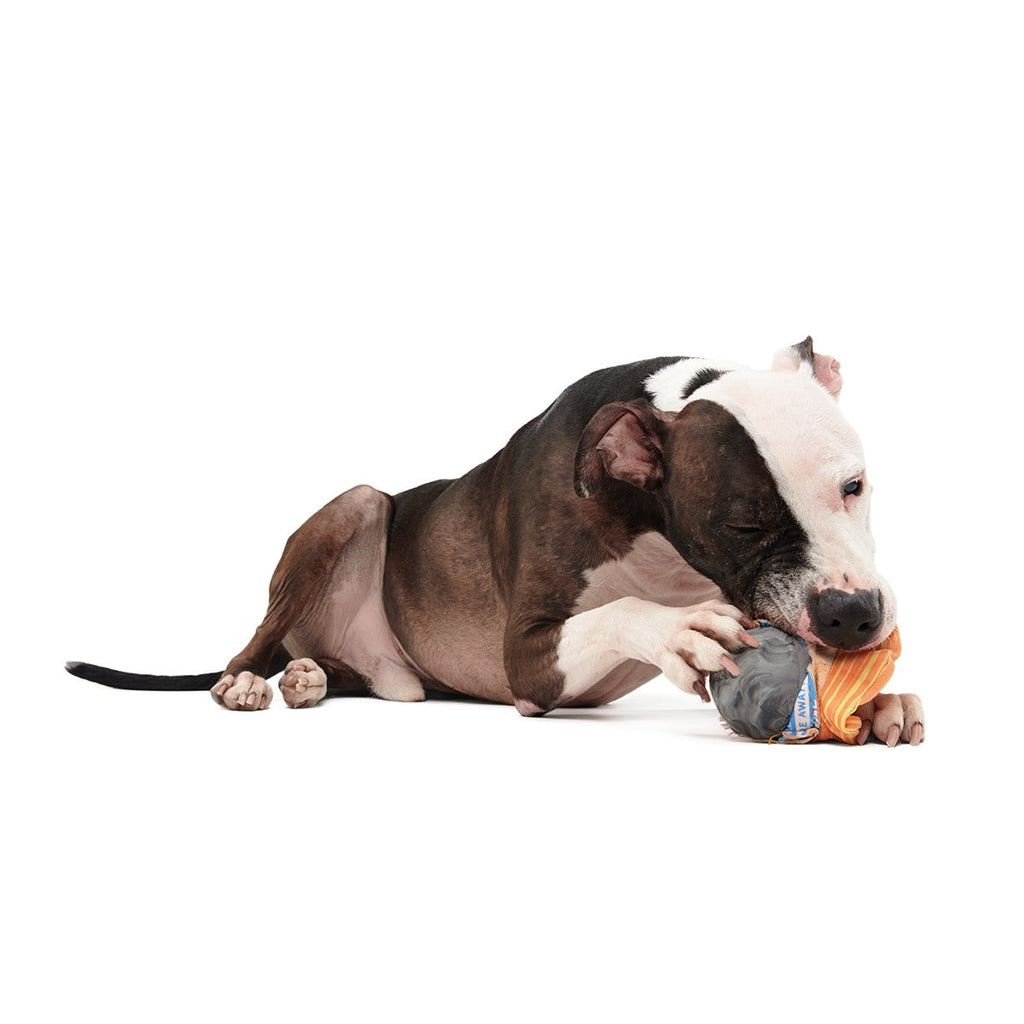 Flings Around Saturn Super Chewer Durable 2-in-1 + Fetch Dog Toy