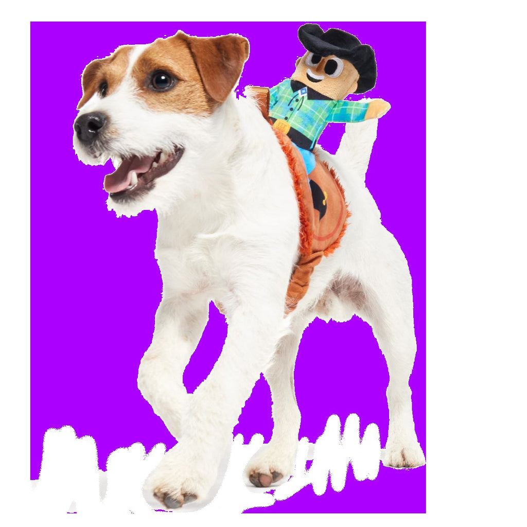 Rodeo Ralph Plush Wearable Tug Dog Toy