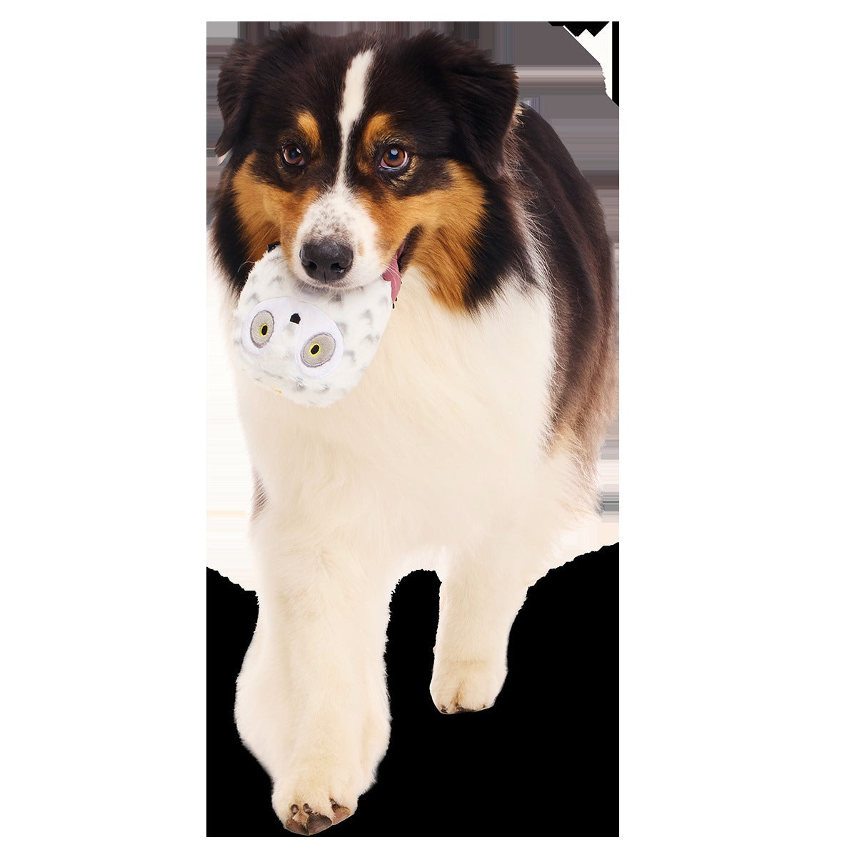 HedwigTM the Owl Super Chewer Durable 2-in-1 + Fetch Dog Toy