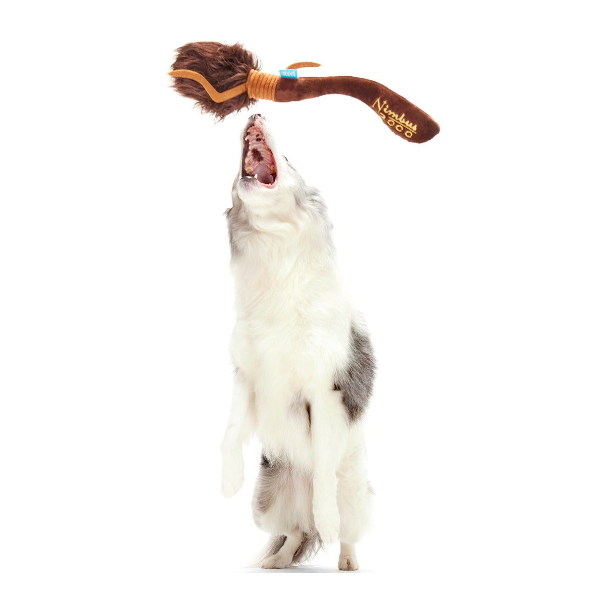 Nimbus 2000TM Broomstick Plush Tug Dog Toy