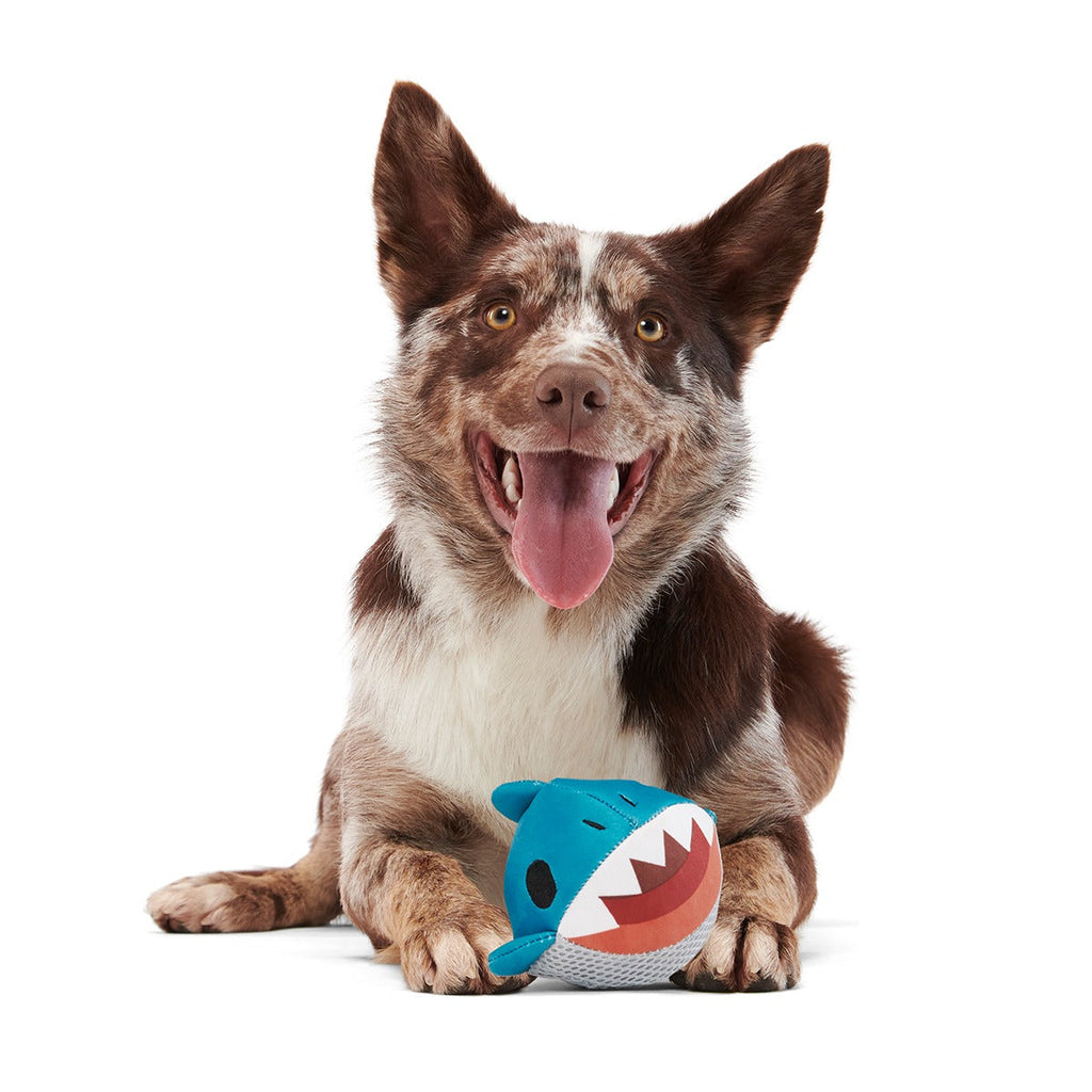 Great White Dwight Super Chewer Durable 2-in-1 + Fetch Dog Toy