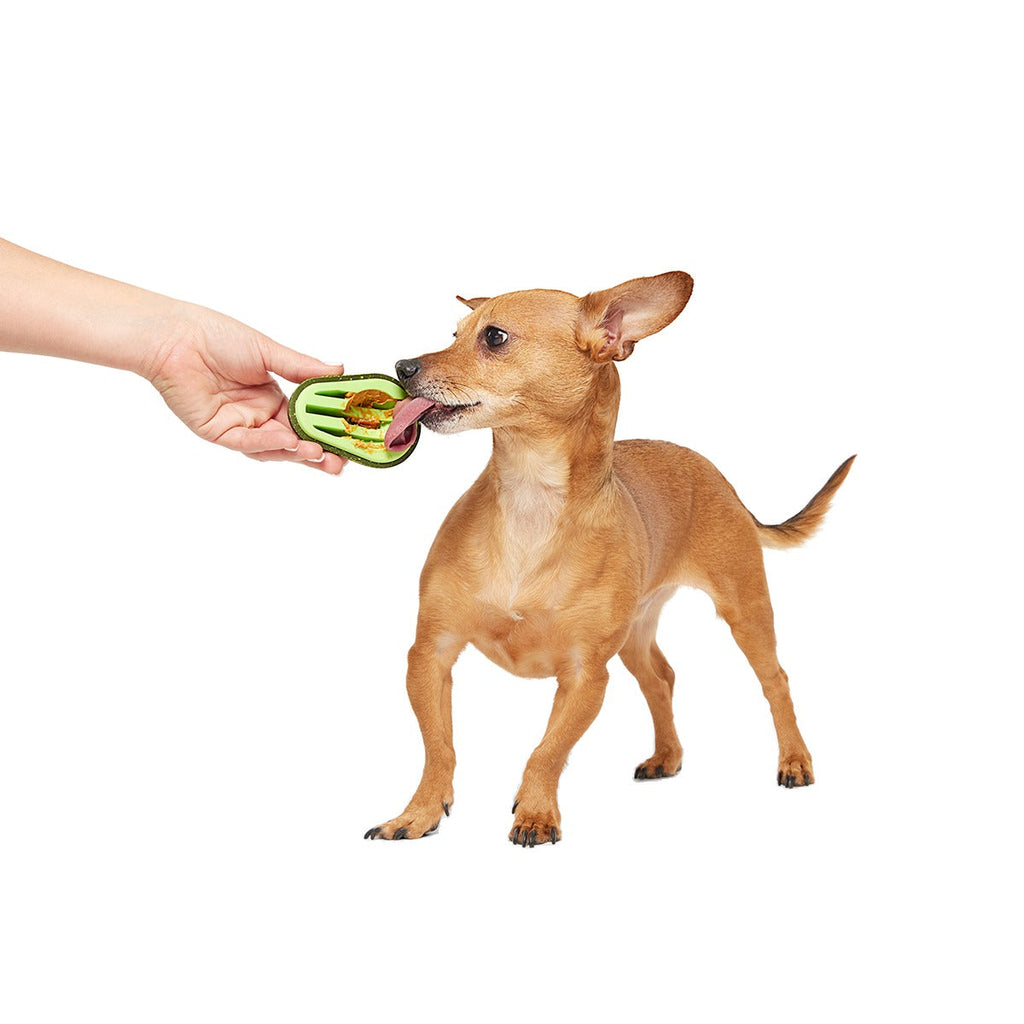 Avocadoggo Super Chewer Durable Enrichment Dog Toy