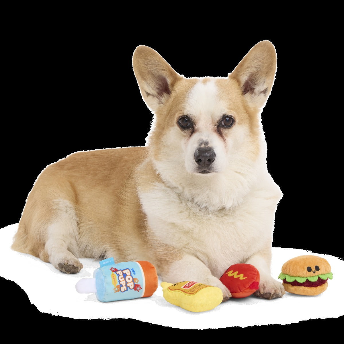 The Bark-B-Q Bunch Plush Multi-Part Dog Toy
