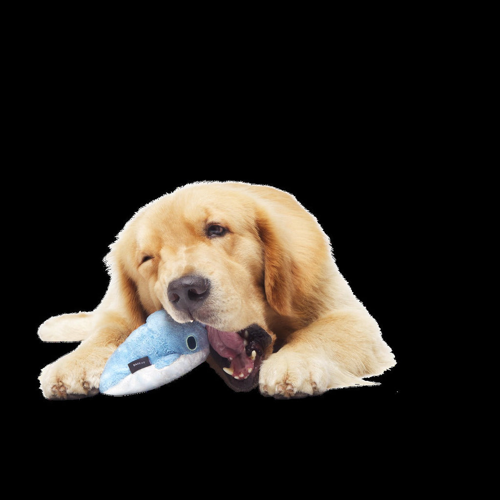 Gnaw Whal Durable Super Chewer 2-in-1 Rip and Reveal Dog Toy