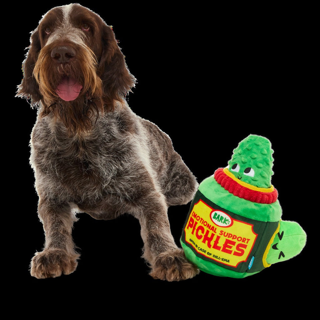 Dill-emma Squad Pickle Plush Extra-Large + Multi-Part Dog Toy
