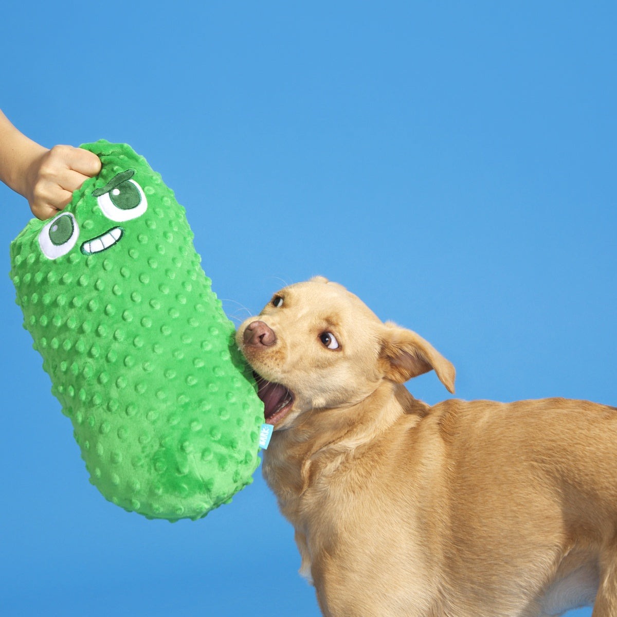 Big Dill Bill Plush Extra-Large + Tug Dog Toy
