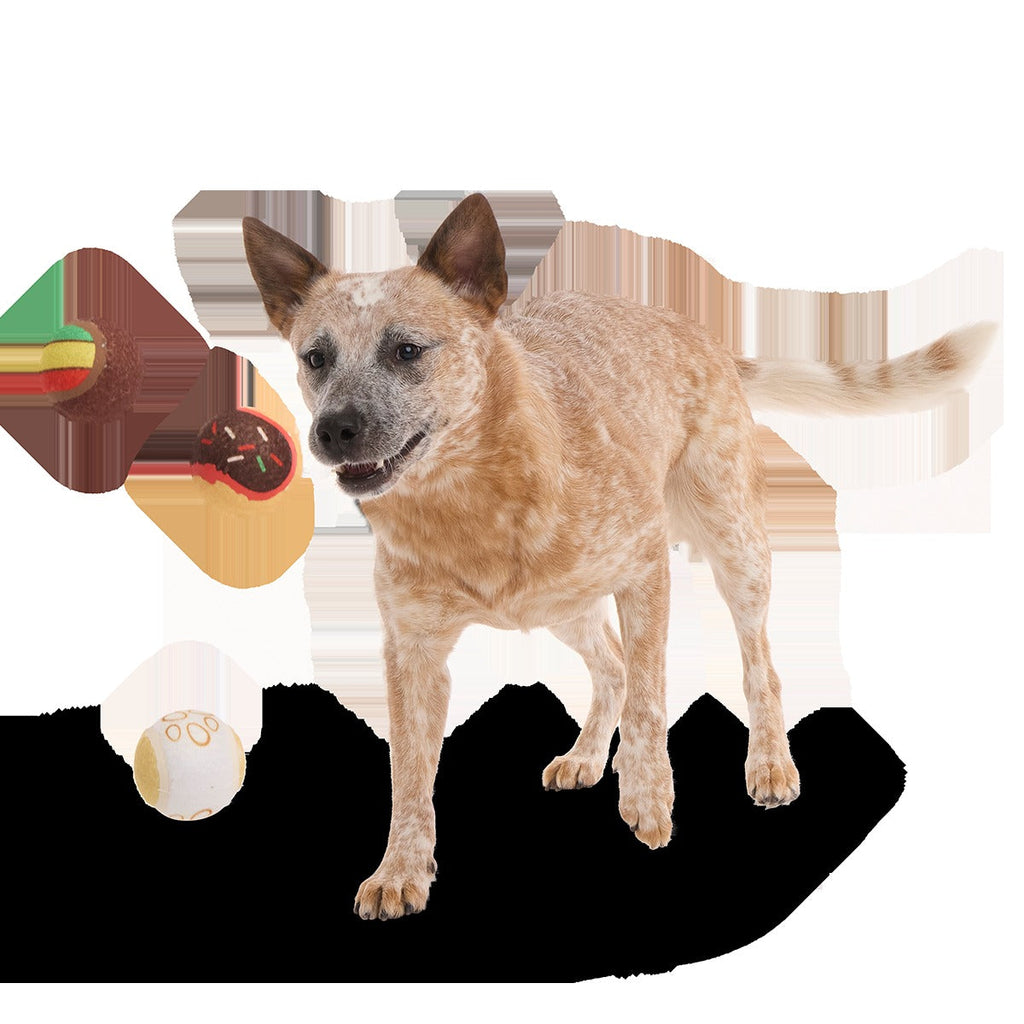 Ballscoti Cookies Plush Multi-Part Fetch Dog Toy
