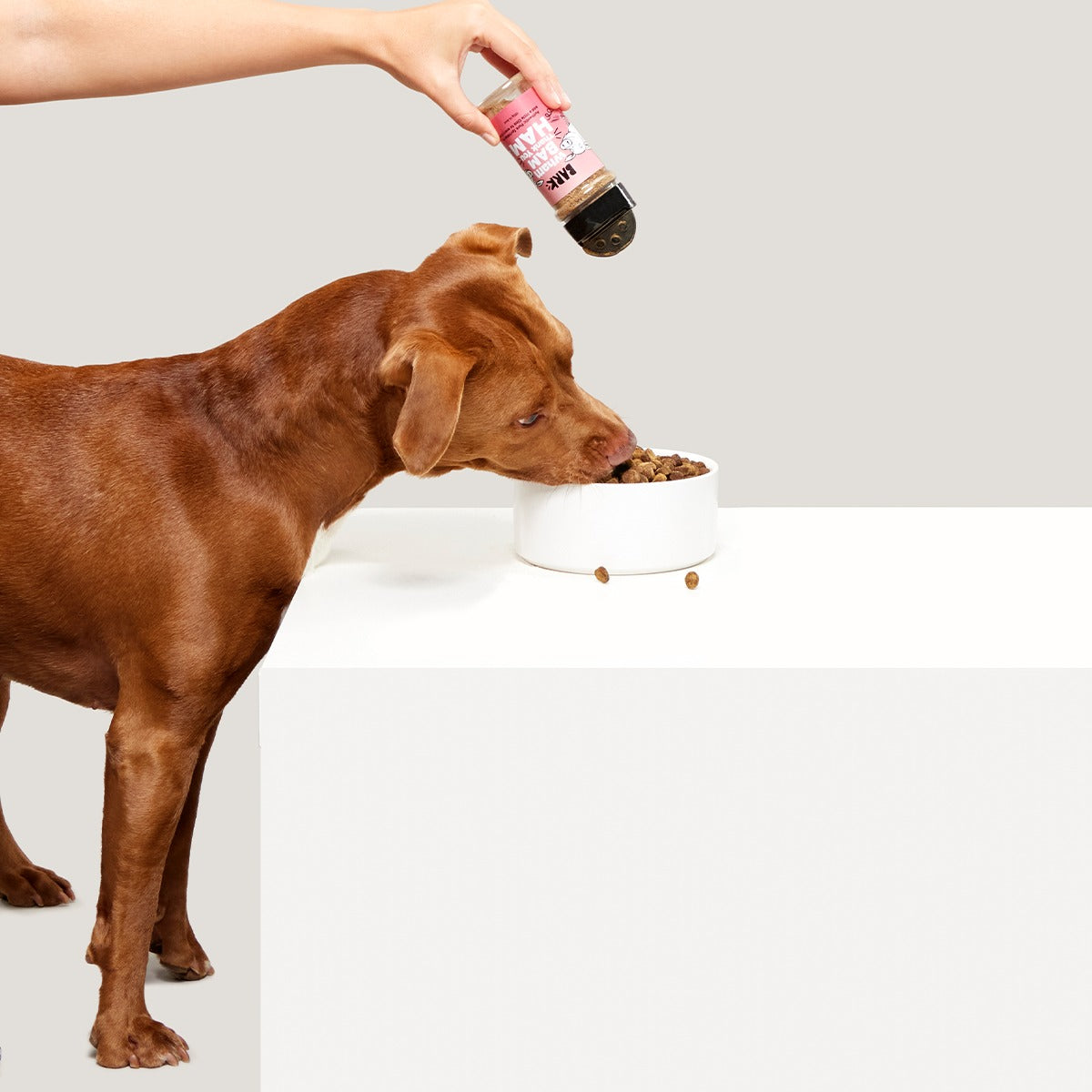 Wham Bam Thank You Ham Pork Dog Food Meal Topper