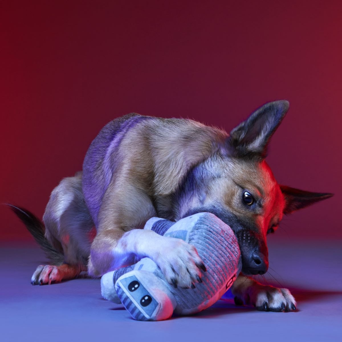 Dark Side Star WarsTM Plush Bundle Tug + Multi-Part Dog Toy