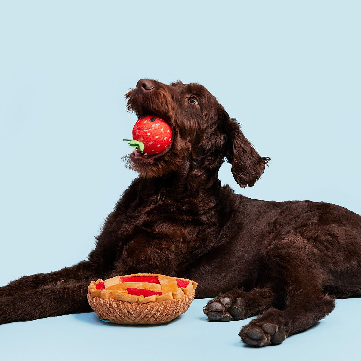 Strawberry Pie Plush Multi-Part + Enrichment Dog Toy
