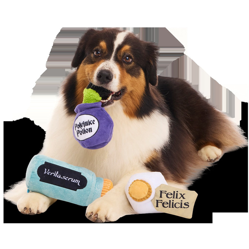 Potions Class PackTM Plush Multi-Part Dog Toy