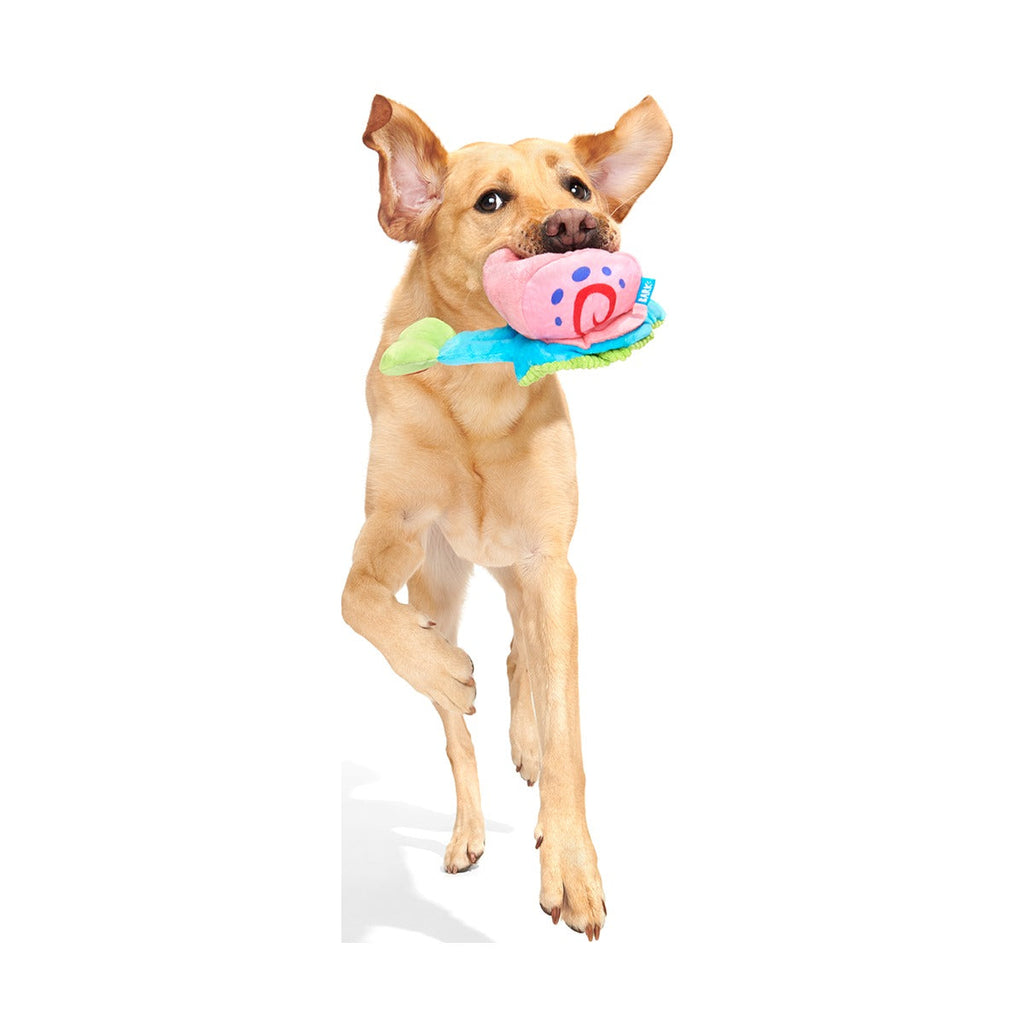 Gary the Snail Plush Tug Dog Toy