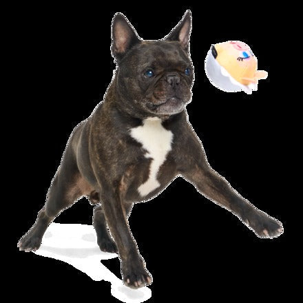 The Muppet Kermit & Miss Piggy Super Chewer Bundle Durable Multi-Part Dog Toy