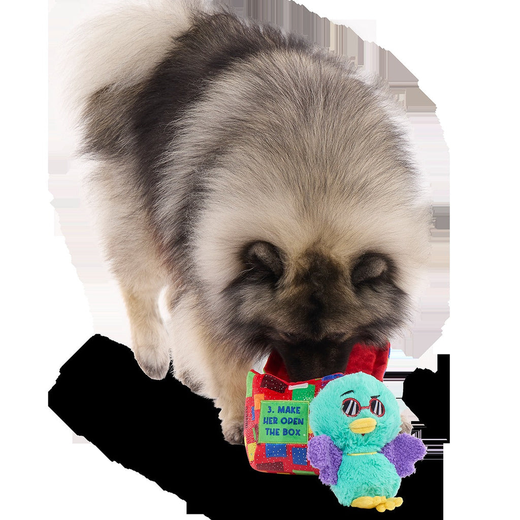 Saturday Night Live: Duck in A Box Plush Multi-Part + Enrichment Dog Toy