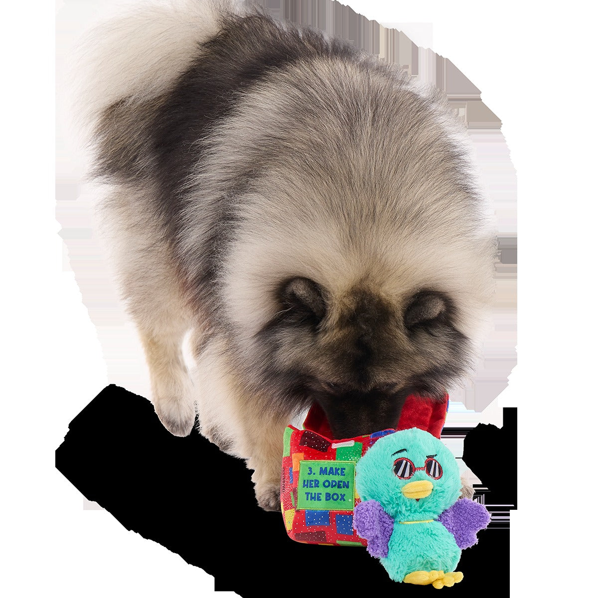Saturday Night Live: Duck in A Box Plush Multi-Part + Enrichment Dog Toy