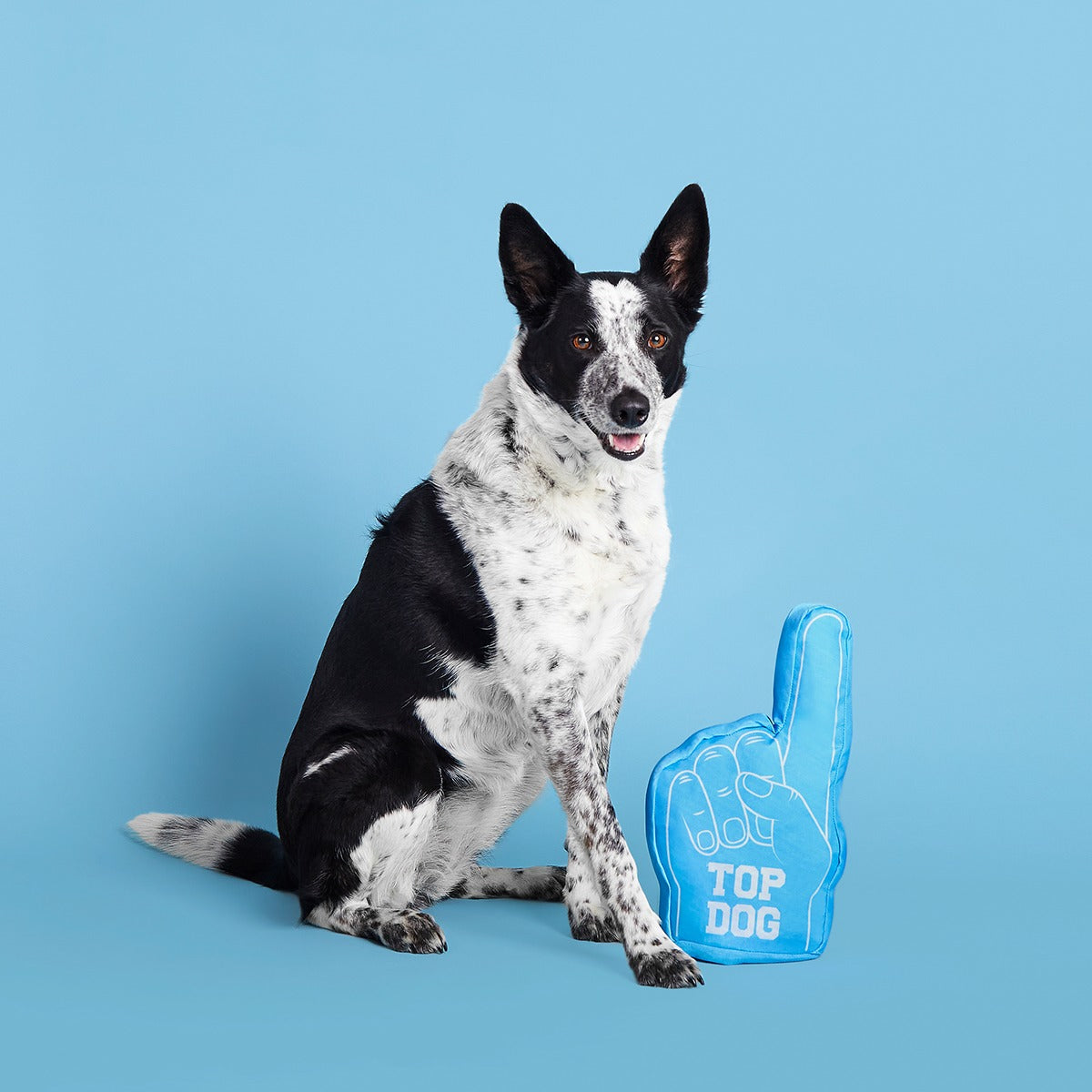 Top Dog Foam Finger Plush Enrichment Dog Toy