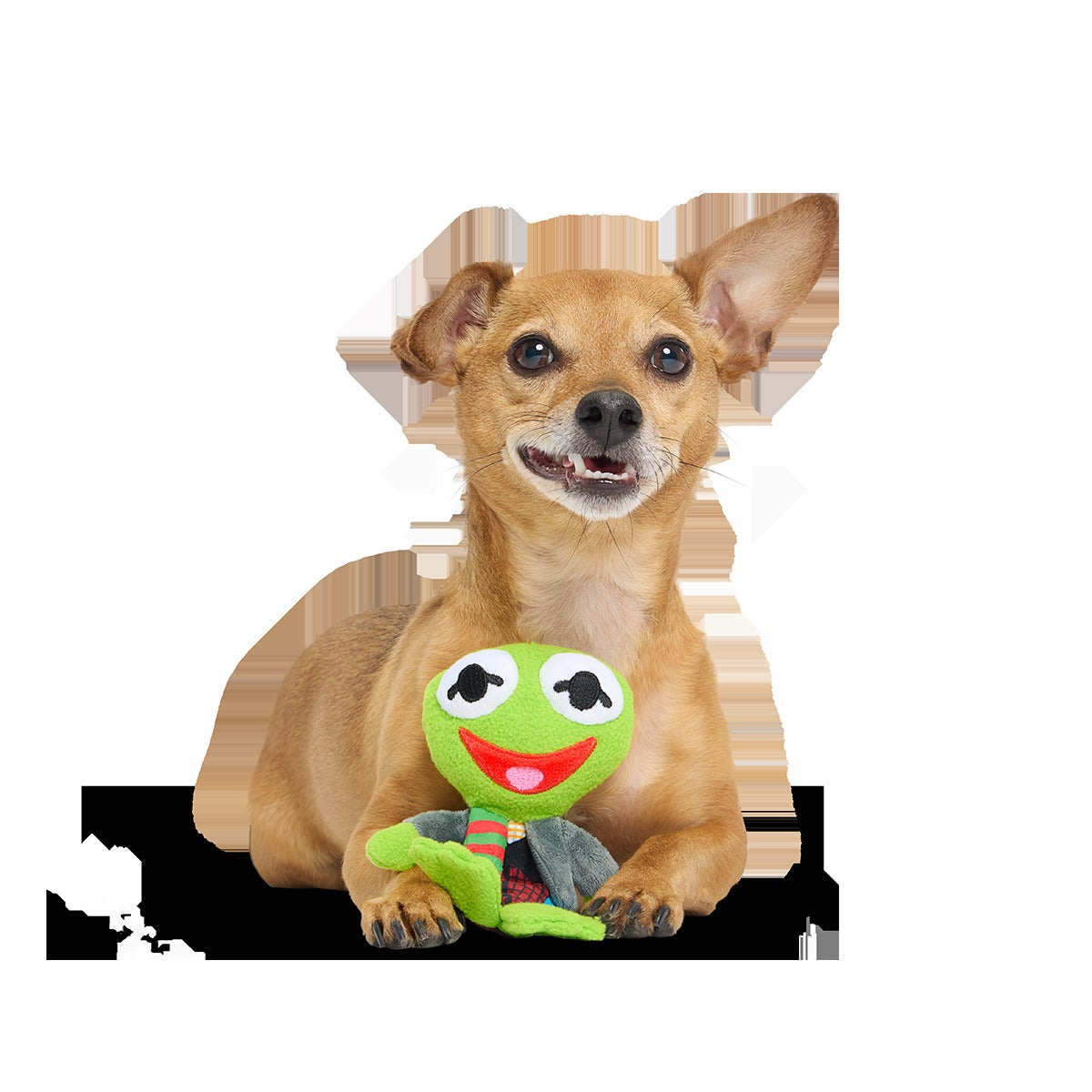 Kermit the Frog as “Bob Catch-It" Plush Tug Dog Toy