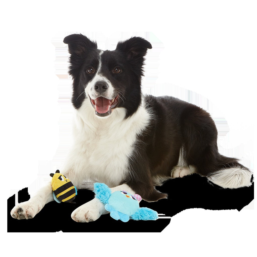 Spring Fling Plush Multi-Part + Fetch Dog Toy