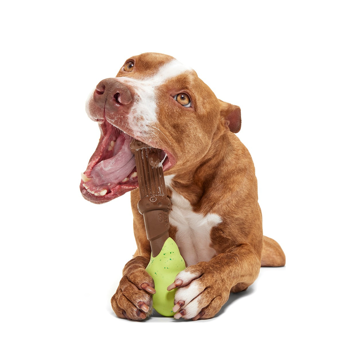 Harry's BogeyTM Wand Super Chewer Durable Gnaw Dog Toy