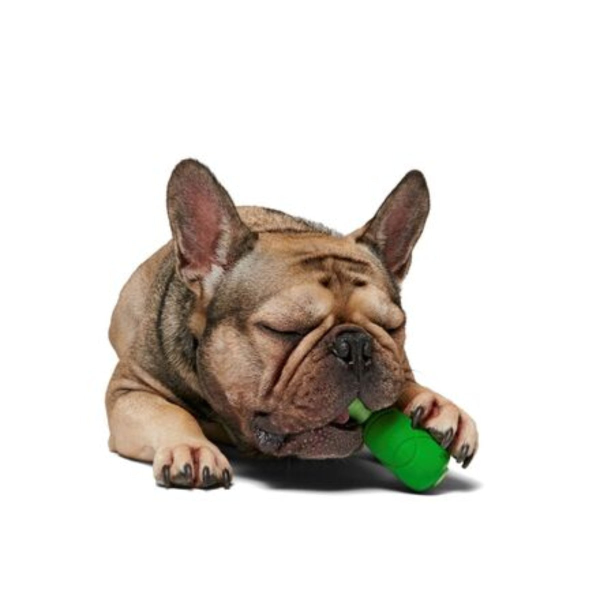 Hamrock Durable Super Chewer Gnaw Dog Toy