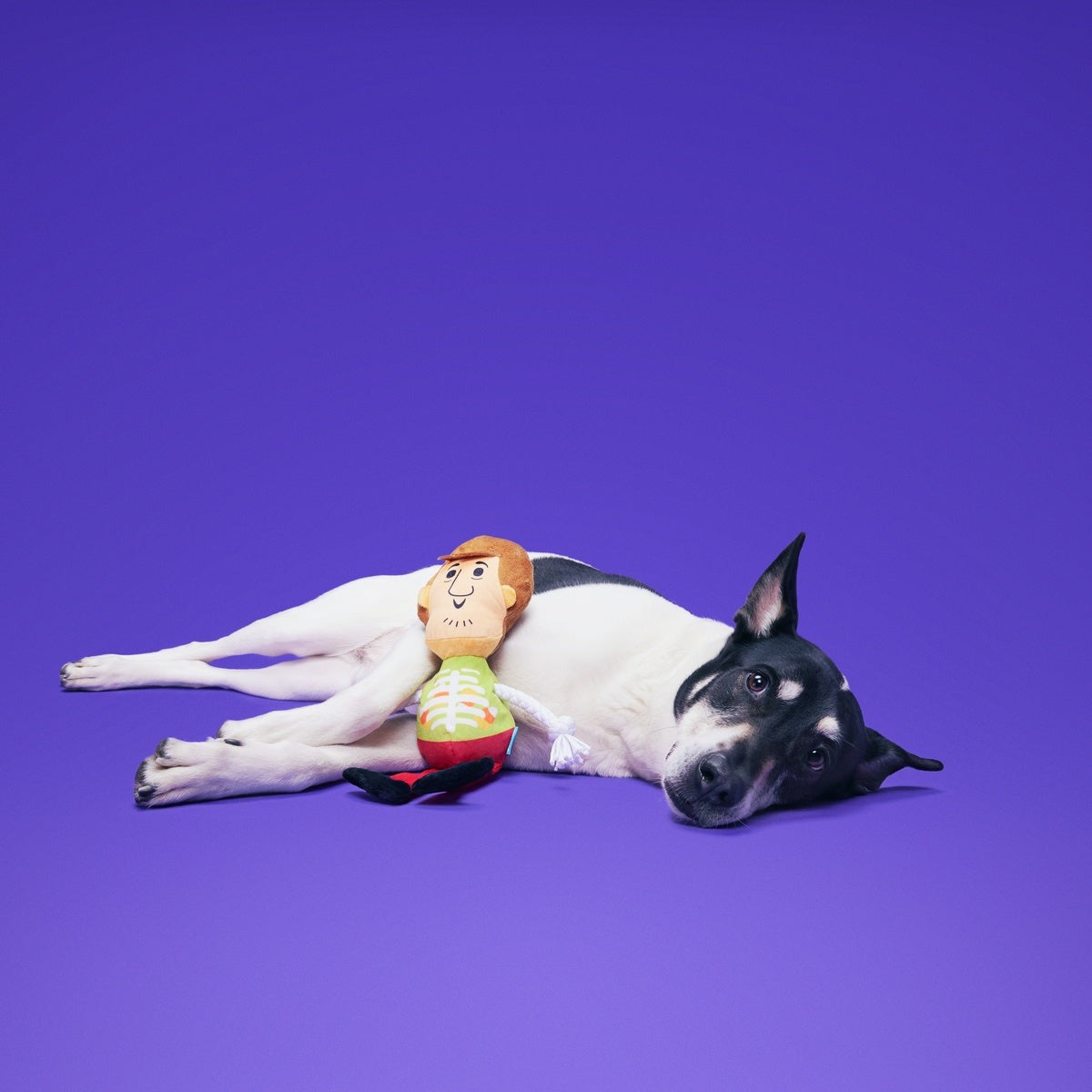 ShaggyTM Skelly Plush Extra-Large + Tug Dog Toy