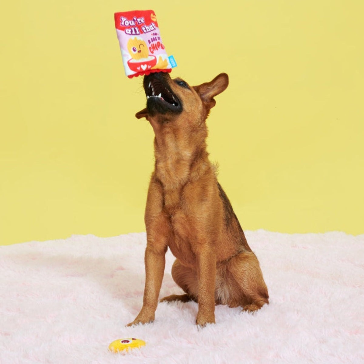 Smitten Chips Plush Enrichment + Multi-Part Dog Toy